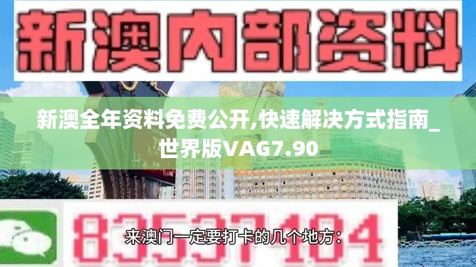 新澳全年资料免费公开,快速解决方式指南_世界版VAG7.90