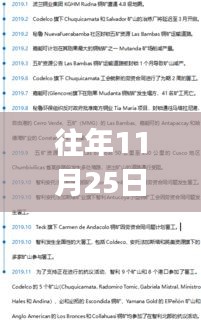 往年11月25日龙tory最新现实文深度解读与往日回顾
