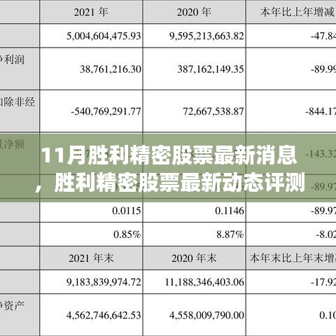 胜利精密股票最新动态评测报告，产品特性深度剖析与前景展望（最新消息）