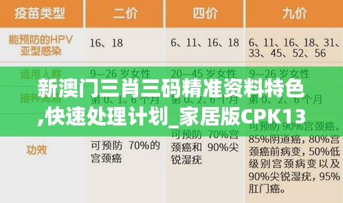 新澳门三肖三码精准资料特色,快速处理计划_家居版CPK13.55