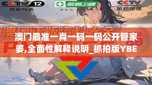 澳门最准一肖一码一码公开管家婆,全面性解释说明_抓拍版YBE13.65