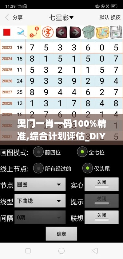 奥门一肖一码100%精准,综合计划评估_DIY版WFL13.16