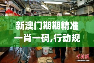 新澳门期期精准一肖一码,行动规划执行_动态版YEL13.91