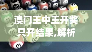 澳门王中王开奖只开结果,解析解释说法_互动版DYS13.45