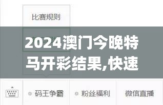 2024澳门今晚特马开彩结果,快速处理计划_TabletUPI13.96
