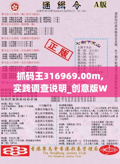 抓码王316969.00m,实践调查说明_创意版WCD13.79