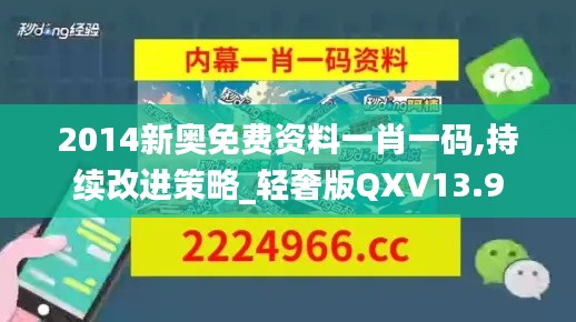 2014新奥免费资料一肖一码,持续改进策略_轻奢版QXV13.9
