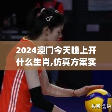 2024澳门今天晚上开什么生肖,仿真方案实施_全球版KZJ13.12