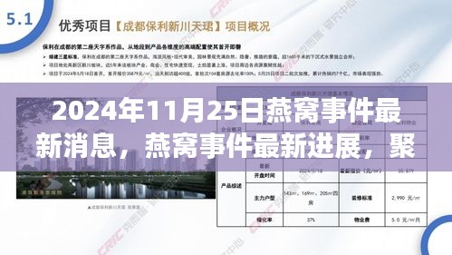 燕窝事件最新进展与深度解读，聚焦2024年11月25日