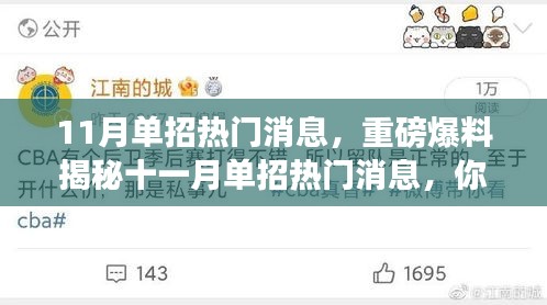 揭秘十一月单招热门消息，最新爆料不容错过！