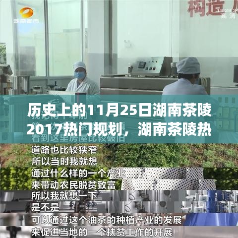 湖南茶陵规划揭秘，历史回顾与未来行动指南（2017年热门规划）