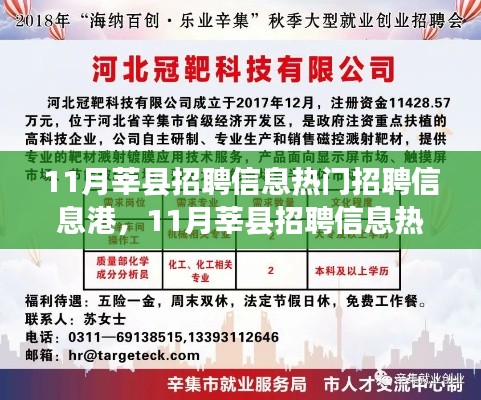 11月莘县招聘信息港，就业机遇与挑战一览