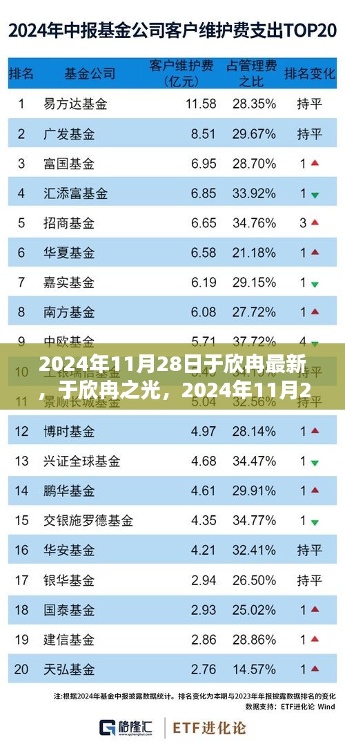 于欣冉之光，2024年11月28日的崭新篇章开启