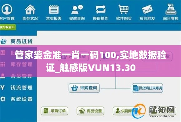 管家婆金准一肖一码100,实地数据验证_触感版VUN13.30