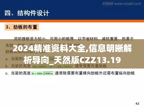 2024精准资料大全,信息明晰解析导向_天然版CZZ13.19