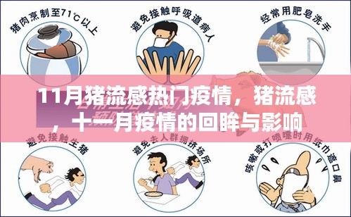 11月猪流感疫情回眸，影响与启示