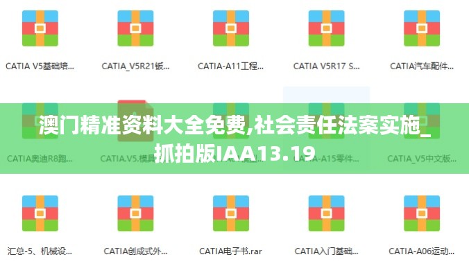 澳门精准资料大全免费,社会责任法案实施_抓拍版IAA13.19