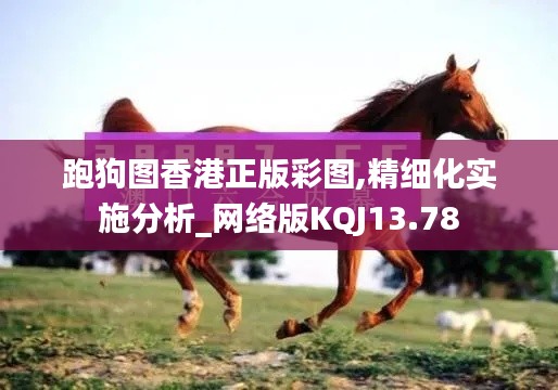 跑狗图香港正版彩图,精细化实施分析_网络版KQJ13.78