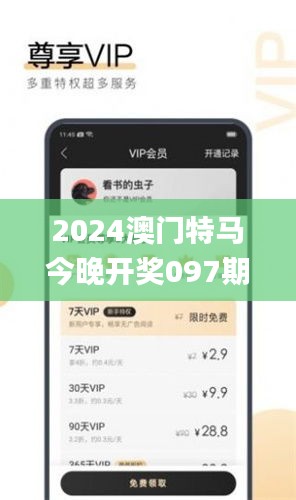 2024澳门特马今晚开奖097期,持续改进策略_互助版NEU13.48