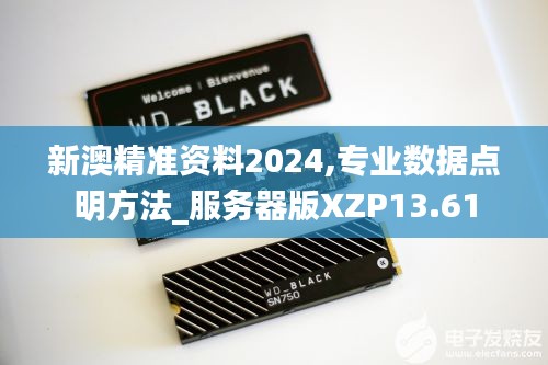 新澳精准资料2024,专业数据点明方法_服务器版XZP13.61
