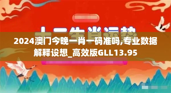 2024澳门今晚一肖一码准吗,专业数据解释设想_高效版GLL13.95