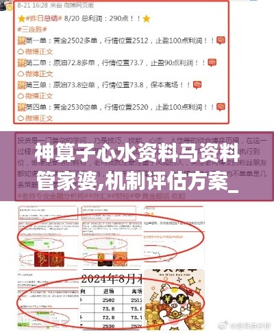 神算子心水资料马资料管家婆,机制评估方案_社交版RLD13.58