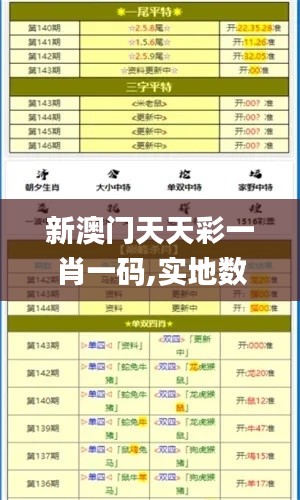 新澳门天天彩一肖一码,实地数据评估分析_超凡版JRT13.4