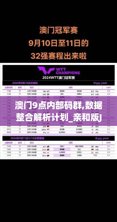 澳门9点内部码群,数据整合解析计划_亲和版JEK13.92