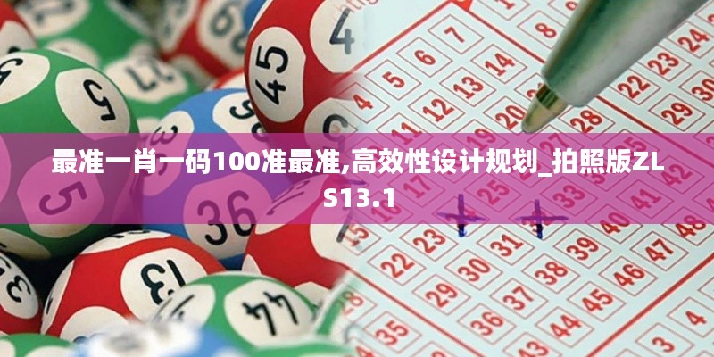 最准一肖一码100准最准,高效性设计规划_拍照版ZLS13.1