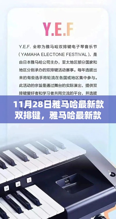 雅马哈最新款双排键，革新与挑战并存的观点探讨与评测分析