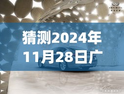 鹿阳高速新篇章，阳光下的温馨旅程，广西鹿阳高速进展预测与展望（2024年11月28日）