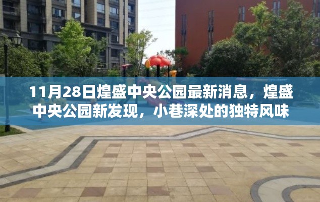 11月28日煌盛中央公园最新动态揭秘，小巷深处的独特风味新发现
