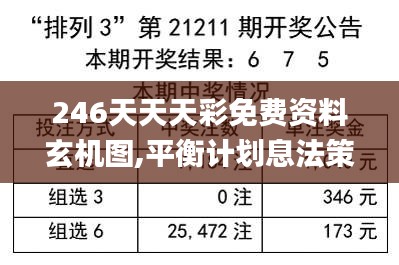 246天天天彩免费资料玄机图,平衡计划息法策略_影音版NHV77.429
