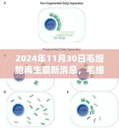 九死一生 第30页