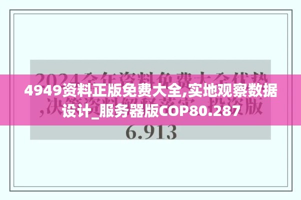 4949资料正版免费大全,实地观察数据设计_服务器版COP80.287