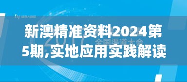 新澳精准资料2024第5期,实地应用实践解读_定制版ZCH46.356