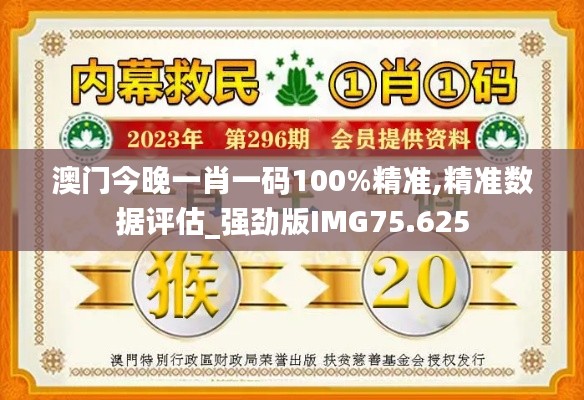 澳门今晚一肖一码100%精准,精准数据评估_强劲版IMG75.625