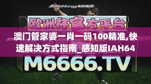 澳门管家婆一肖一码100精准,快速解决方式指南_感知版IAH64.998