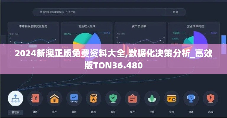 2024新澳正版免费资料大全,数据化决策分析_高效版TON36.480
