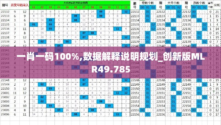 一肖一码100%,数据解释说明规划_创新版MLR49.785