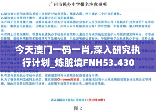 今天澳门一码一肖,深入研究执行计划_炼脏境FNH53.430