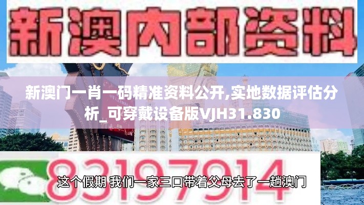 新澳门一肖一码精准资料公开,实地数据评估分析_可穿戴设备版VJH31.830