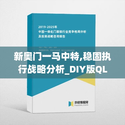 新奥门一马中特,稳固执行战略分析_DIY版QLY93.314