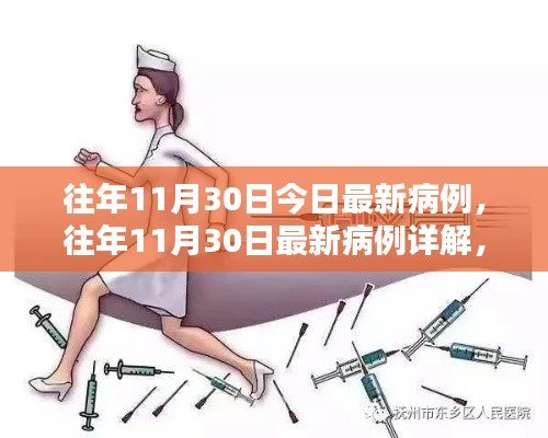 往年11月30日最新病例详解，特性、体验、竞品对比及用户群体全面剖析