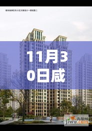 咸阳塞纳绿洲11月30日热门动态探索，从初识到精通的全方位指南