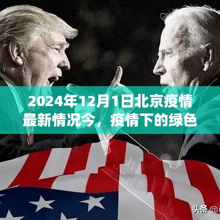 北京疫情最新动态下的绿色避风港之旅，寻找内心的宁静与美景（2024年12月）