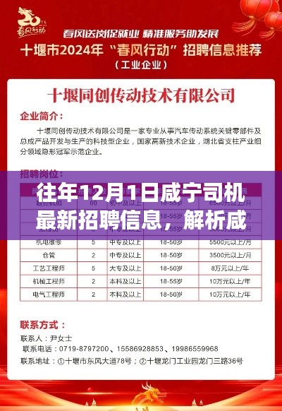 历年咸宁司机招聘趋势解析与展望，最新招聘信息洞察与未来展望（12月1日）