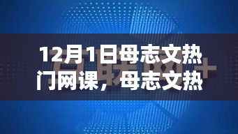 母志文热门网课深度解析与介绍，开启知识大门的新篇章