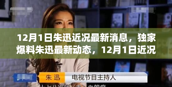 朱迅最新动态曝光，事业新高峰与生活点滴揭秘
