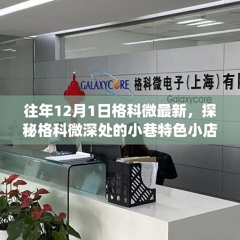 花开无言 第24页